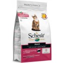 Schesir Gato Manutenção Presunto (Linha Seca)