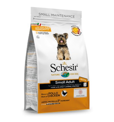 Schesir Small Frango Manutenção (Linha Seca)