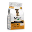 Schesir Cão Small Frango Manutenção (Linha Seca)