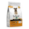 Schesir Small Frango Manutenção (Linha Seca)