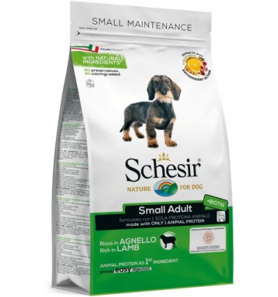 Schesir Small Presunto Manutenção (Linha Seca)