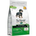 Schesir Cão Small Borrego Manutenção (Linha Seca)