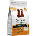 Schesir Cão Médio Frango Manutenção (Linha Seca)