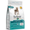 Schesir Cão Large Puppy c/ Frango (Linha Seca)