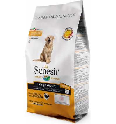 Schesir Large Frango Manutenção (Linha Seca)