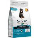 Schesir Cão Large Peixe Manutenção (Linha Seca)