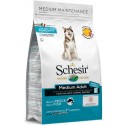 Schesir Cão Médio Peixe Manutenção (Linha Seca)