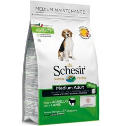 Schesir Cão Médio Borrego Manutenção (Linha Seca)