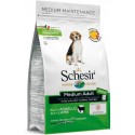 Schesir Cão Médio Borrego Manutenção (Linha Seca)