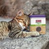 Kong Catnip erva aromática p/ Gatos 28.3 gr (CN21E)