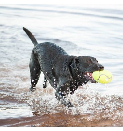 Brinquedo Kong AirDog squeaker Bola de Football c/ som - tamanho L (ASFB3E)