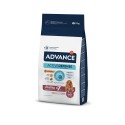 Advance Cão Medium Vitality Sénior Frango e Arroz