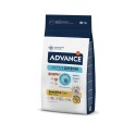 Advance Cão Mini Sensitive Salmão e Arroz