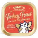 Lily´s Kitchen Gato Húmidos Natal Turkey Feast (Smooth Paté) - 0,85gr