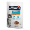 Advance Gato Húmidos Kitten com frango