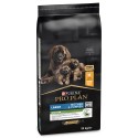 Purina Pro Plan Cão Mother & Puppy Large Starter Frango