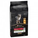 Purina Pro Plan Cão Puppy Medium Healthy Start Frango