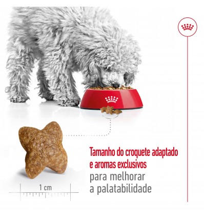 Royal Canin Mini, Cão, Seco, Adulto, Alimento/Ração