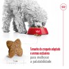 Royal Canin Mini, Cão, Seco, Adulto, Alimento/Ração