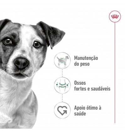 Royal Canin Mini, Cão, Seco, Adulto, Alimento/Ração