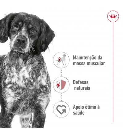 Royal Canin Medium Adult 4kg