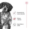 Royal Canin Medium Adult 4kg