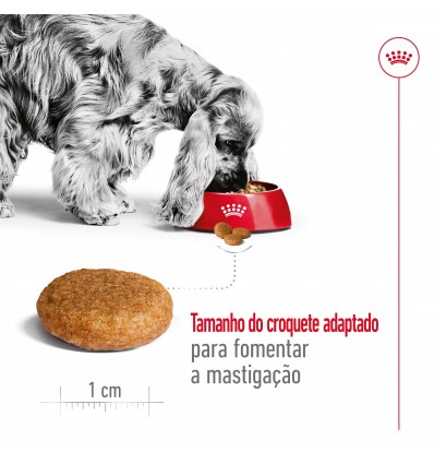 Royal Canin Medium Adult 4kg