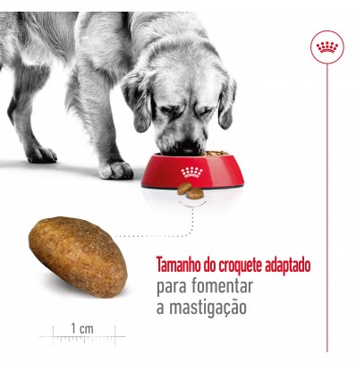 Royal Canin Maxi Adult 4kg