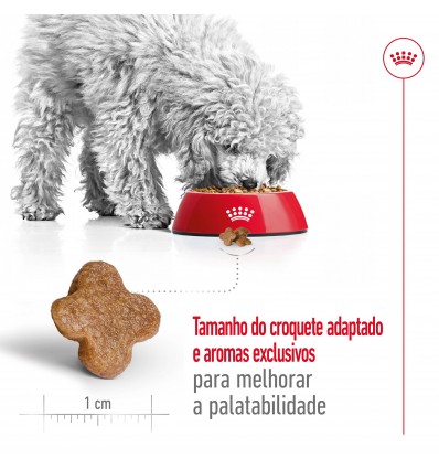 Royal Canin Mini Adult 8+ 800g