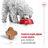 Royal Canin Mini Adult 8+ 800g