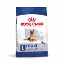 Royal Canin Maxi Ageing 8+, Cão, Seco, Sénior, Alimento/Ração