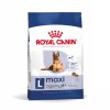 Royal Canin Maxi Ageing 8+, Cão, Húmidos, Sénior, Alimento