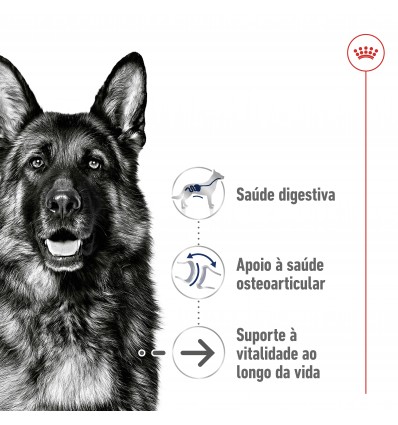 Royal Canin Maxi Ageing 8+, Cão, Húmidos, Sénior, Alimento