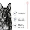 Royal Canin Maxi Ageing 8+, Cão, Húmidos, Sénior, Alimento