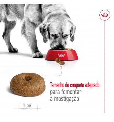 Royal Canin Maxi Ageing 8+, Cão, Húmidos, Sénior, Alimento