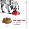 Royal Canin Maxi Ageing 8+, Cão, Húmidos, Sénior, Alimento