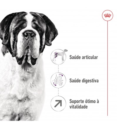 Royal Canin Giant Adult, Cão, Seco, Adulto, Alimento/Ração