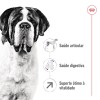 Royal Canin Giant Adult, Cão, Seco, Adulto, Alimento/Ração