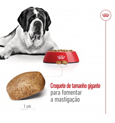 Royal Canin Giant Adult, Cão, Seco, Adulto, Alimento/Ração