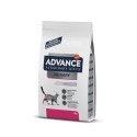 Advance VET Gato Urinary