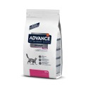 Advance VET Gato Urinary Stress