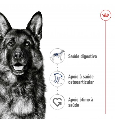 Royal Canin Maxi Adult 15 + 3Kg Oferta