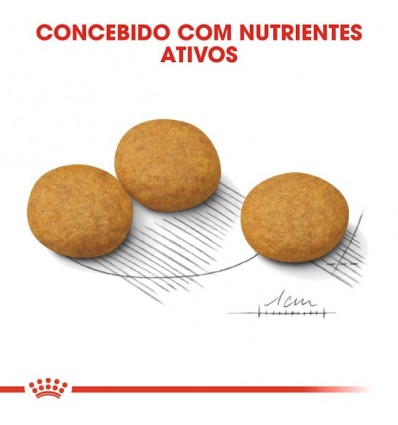 Royal Canin Medium, Cão, Seco, Adulto Dermacomfort, Alimento/Ração