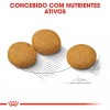 Royal Canin Medium, Cão, Seco, Adulto Dermacomfort, Alimento/Ração