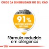 Royal Canin Medium, Cão, Seco, Adulto Dermacomfort, Alimento/Ração