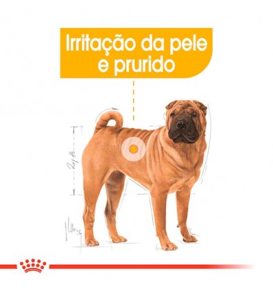 Royal Canin Medium, Cão, Seco, Adulto Dermacomfort, Alimento/Ração