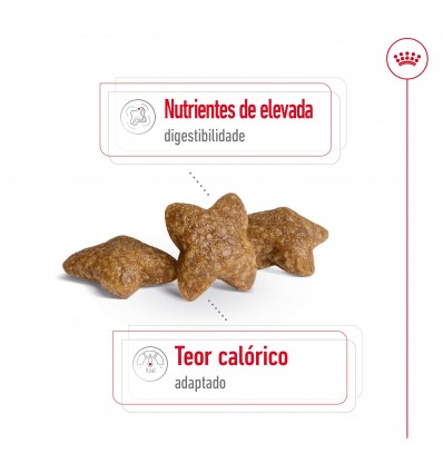 Royal Canin Mini Adult 8Kg + 1kg