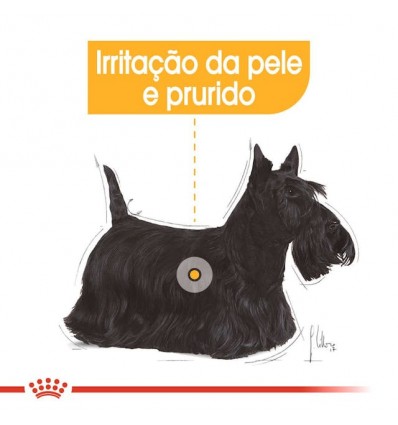 Royal Canin Mini, Cão, Seco, Adulto Dermacomfort, Alimento/Ração