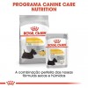 Royal Canin Mini, Cão, Seco, Adulto Dermacomfort, Alimento/Ração