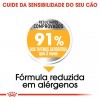 Royal Canin Mini, Cão, Seco, Adulto Dermacomfort, Alimento/Ração